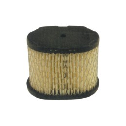 FILTRE A AIR POUR BRIGGS & STRATTON 5,5 CV (498596)