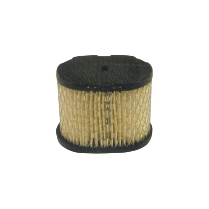 FILTRE A AIR POUR BRIGGS & STRATTON 5,5 CV (498596)