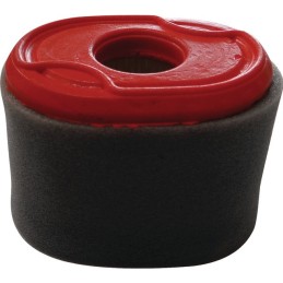 FILTRE A AIR POUR BRIGGS & STRATTON 550 OHV (796970)