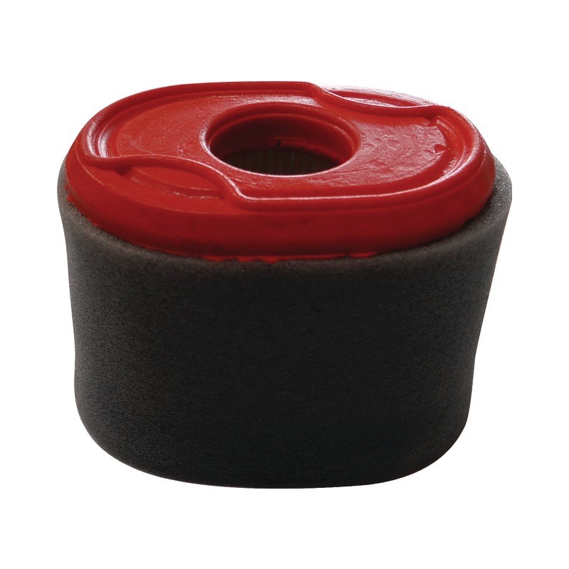 FILTRE A AIR POUR BRIGGS & STRATTON 550 OHV (796970)