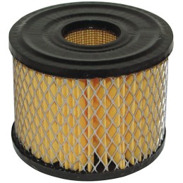 FILTRE A AIR POUR BRIGGS & STRATTON 7/8CV (390492)