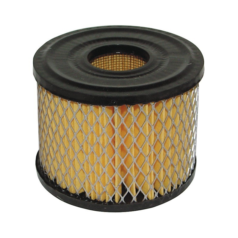 FILTRE A AIR POUR BRIGGS & STRATTON 7/8CV (390492)