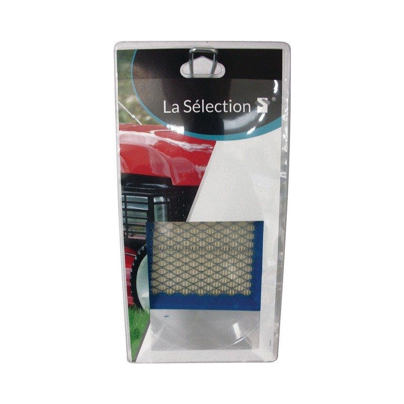 FILTRE A AIR POUR BRIGGS & STRATTON 3,5CV (399877)