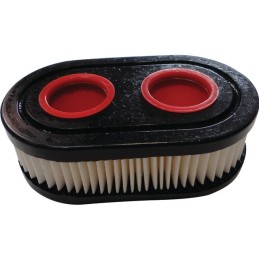 FILTRE A AIR POUR BRIGGS & STRATTON 09P/500/EX (798452)