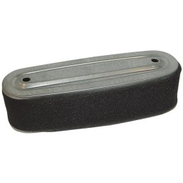 FILTRE A AIR POUR HONDA GV340 (17211891004)