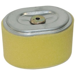 FILTRE A AIR POUR HONDA GX110/120 (17210ZE0822)