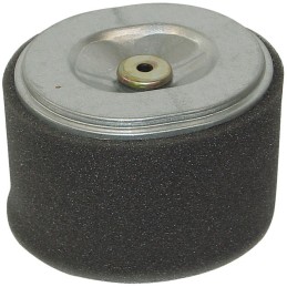 FILTRE A AIR POUR HONDA GX240/270 8/9CV (17210ZE2822)