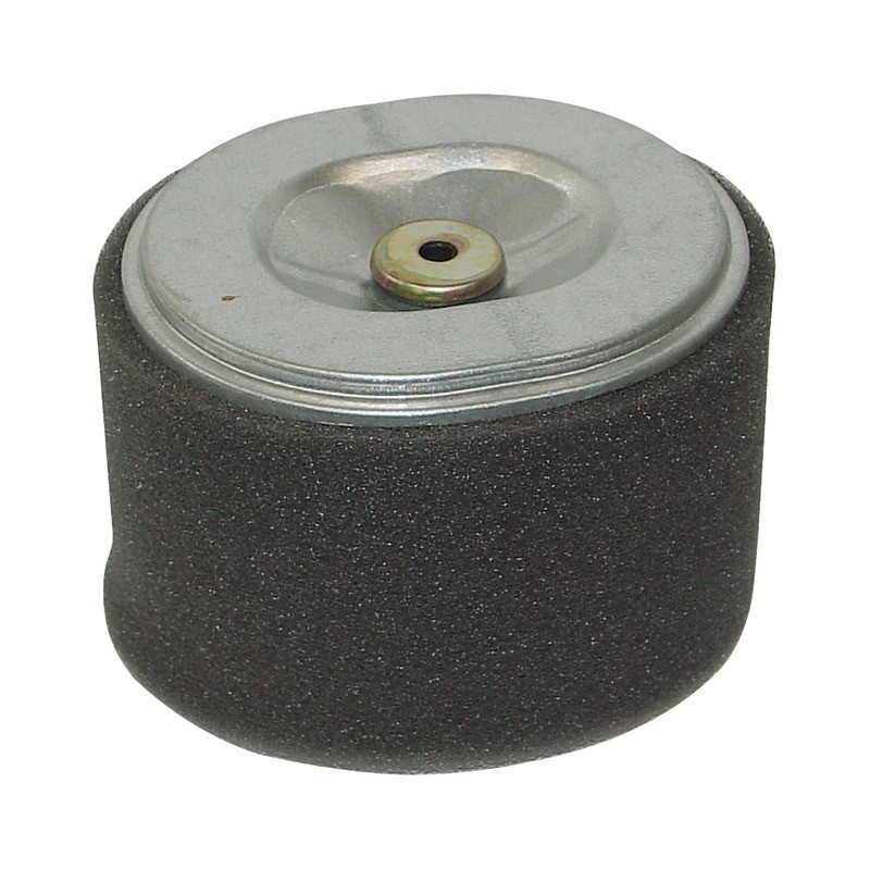 FILTRE A AIR POUR HONDA GX240/270 8/9CV (17210ZE2822)