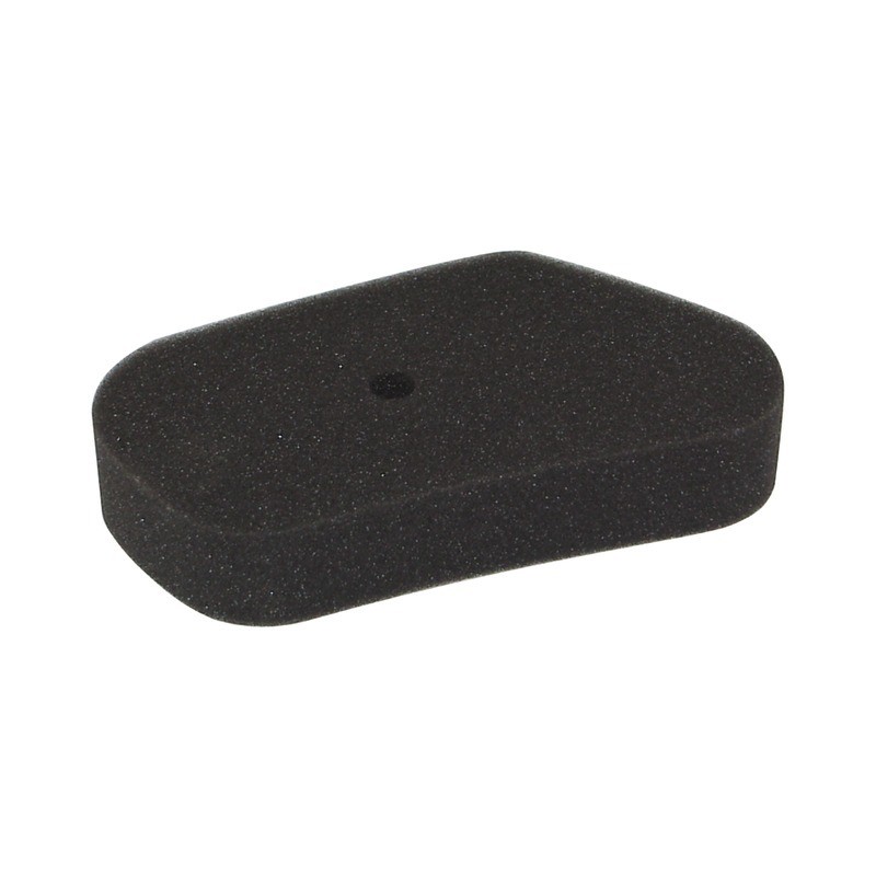 FILTRE A AIR POUR HONDA HR173/GV100 (17211ZG1700)