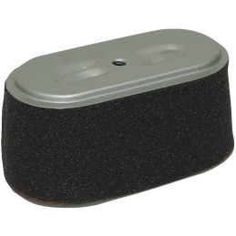 FILTRE A AIR POUR HONDA GX160/F660 (17210734003)