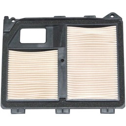 FILTRE A AIR POUR HONDA GX620 (17010ZJ1000)