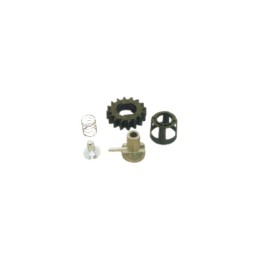 KIT PIGNON POUR DEMARREUR BRIGGS & STRATTON (495877)