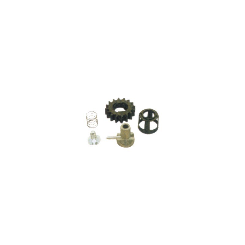 KIT PIGNON POUR DEMARREUR BRIGGS & STRATTON (495877)