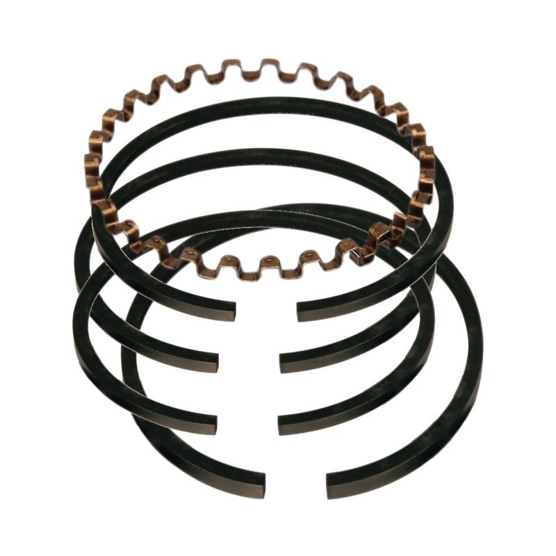 SEGMENTS POUR BRIGGS & STRATTON 3,5/5CV 299742 LE JEU