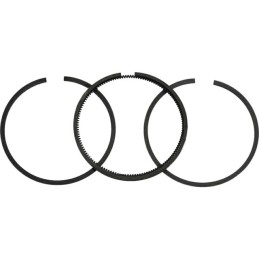 SEGMENTS POUR BRIGGS & STRATTON 3,5/5CV (298982) LE JEU