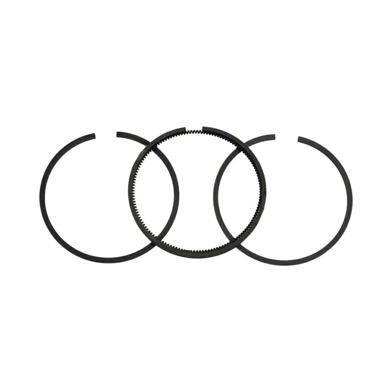 SEGMENTS POUR BRIGGS & STRATTON 3,5/5CV (298982) LE JEU