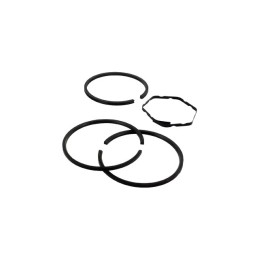 SEGMENTS POUR BRIGGS & STRATTON 10-18CV 391780 LE JEU