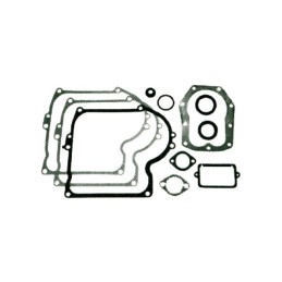 POCHETTE JOINTS POUR BRIGGS & STRATTON 10/11CV (393411)