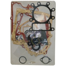 POCHETTE JOINTS POUR BRIGGS & STRATTON 13-15CV (495993)