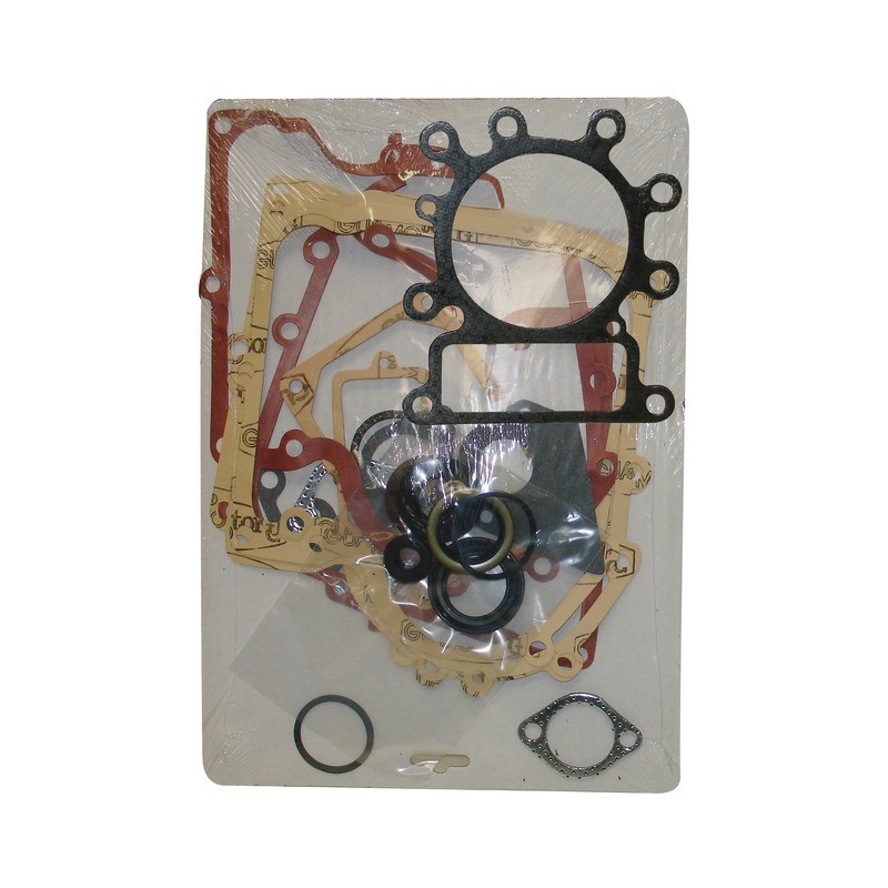 POCHETTE JOINTS POUR BRIGGS & STRATTON 13-15CV (495993)