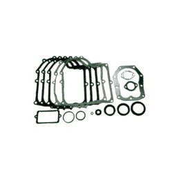 POCHETTE JOINTS POUR BRIGGS & STRATTON 10-13CV (494241)