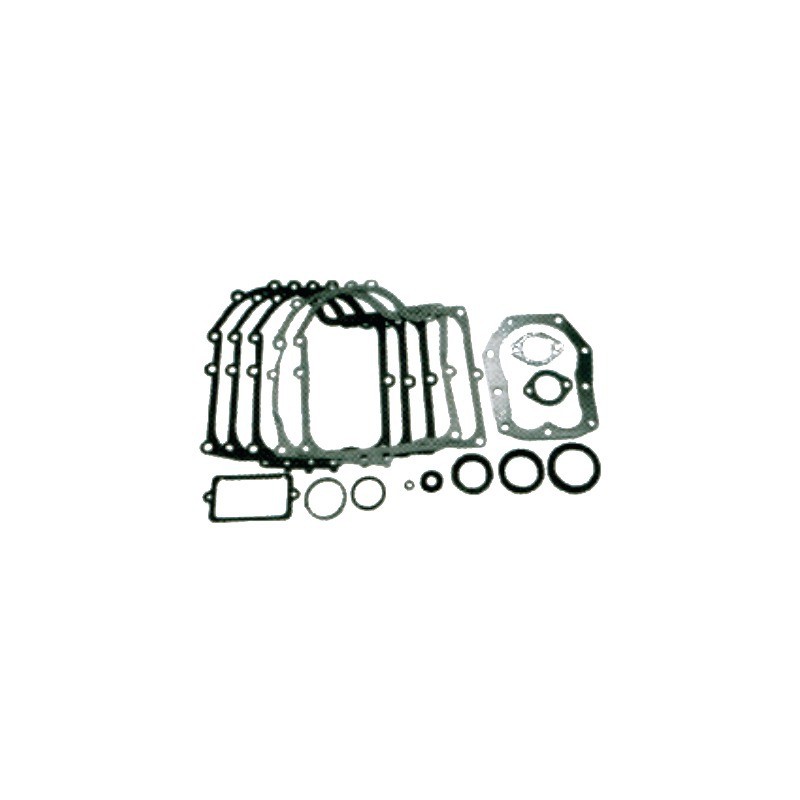 POCHETTE JOINTS POUR BRIGGS & STRATTON 10-13CV (494241)