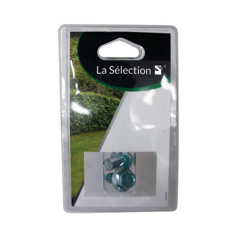 VIS DE LAME POUR HONDA  Ø10 LONGUEUR 20MM PAR 2