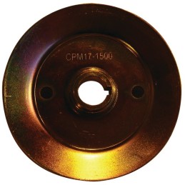 POULIE ENTRAINEMENT DE LAME POUR GGP J92 (125601560/0)