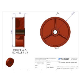 POULIE NUE BAGUEE Ø 300 TYPE ALFA LAVAL