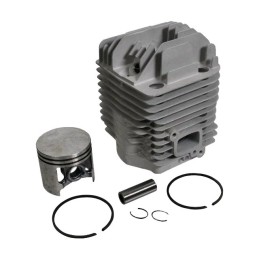 CYLINDREE POUR STIHL TS 460 (42210201206)