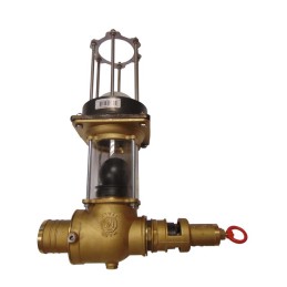 VALVE Ø60 2 BALLES AV VOYANT S S FRETTE AV SO UPAPE