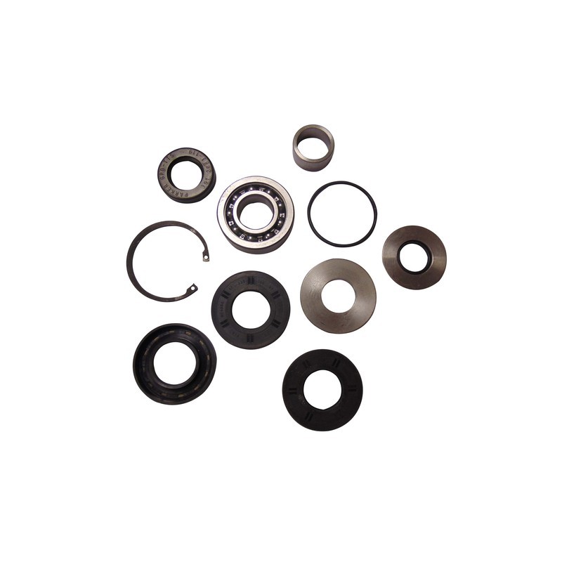 KIT JOINT POUR POMPE COBRA 300