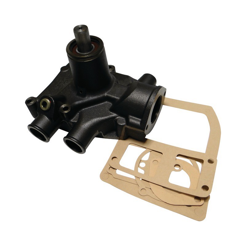 POMPE A EAU LANDINI-MF 3641887M91