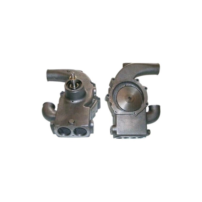 POMPE A EAU LANDINI-MF 41313027