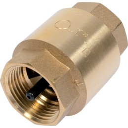 CLAPET ANTI-RETOUR LAITON 1" PIUSI