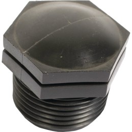 BOUCHON FILETE MALE 1" GAZ