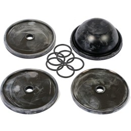 KIT MEMBRANE 504 (KIT504)