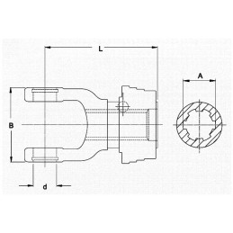 MACHOIRE 1''3/4 20C CR50X118 QSG