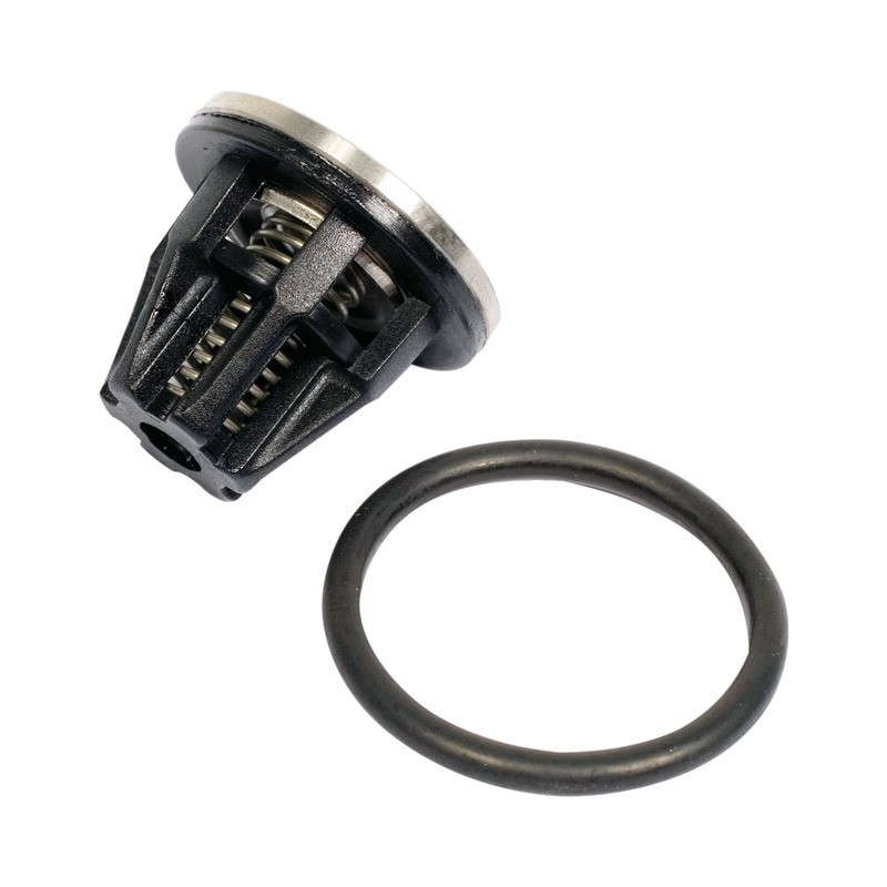 CLAPET (1702) SACHET DE 10 UDOR