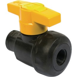 VANNE À BILLE PP 1/2" NPT FF-LL