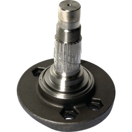 PORTE DENT E1301020 AVEC GORGE