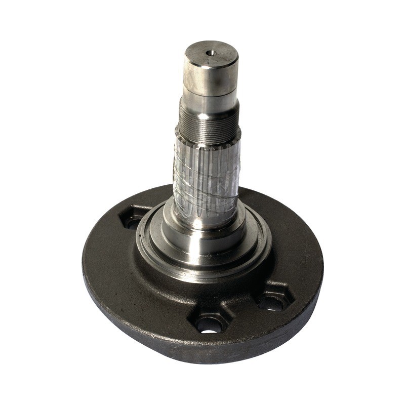 PORTE DENT E1301020 AVEC GORGE