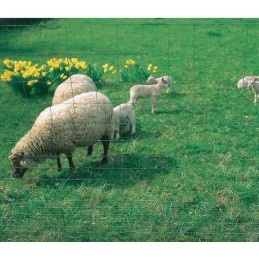 GRILLAGE GALVA A 95-09.15    ROULEAU 50ML