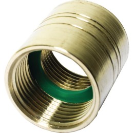 MAMELON INOX 1 GAS/NPT