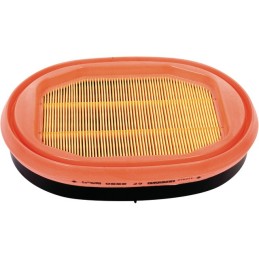 FILTRE A AIR CF2550