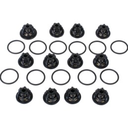 KIT CLAPETS ZETA 300 (KIT636)