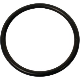 SACHET 10 JOINTS TORIQUES (mm) 24X2