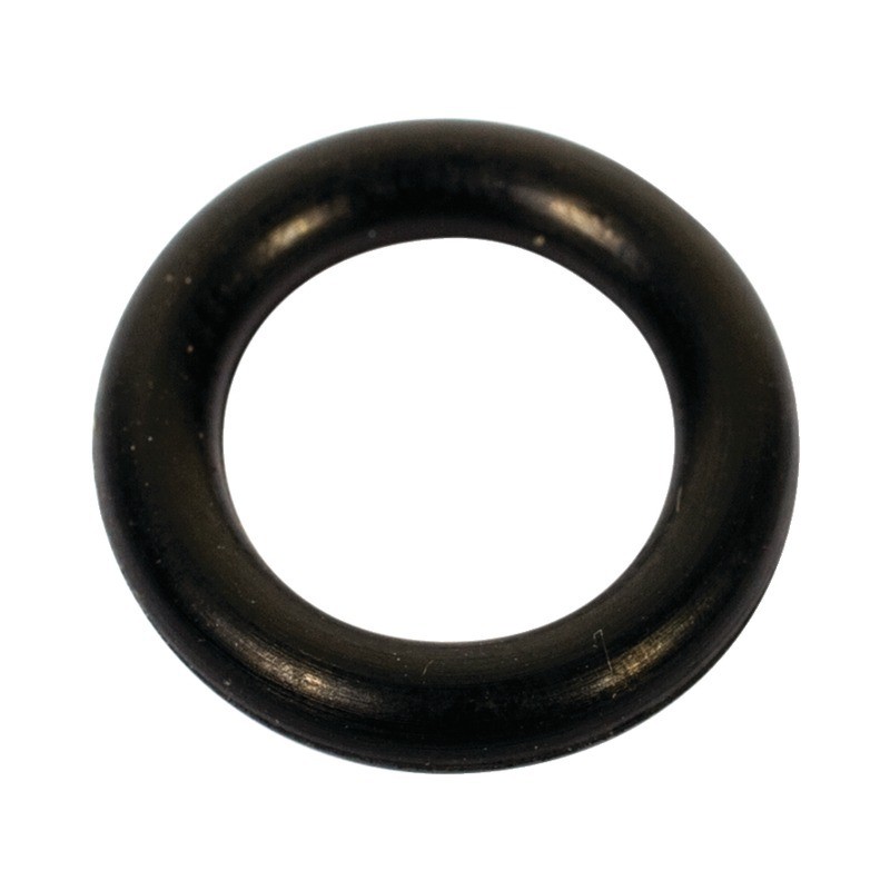 SACHET 10 JOINTS TORIQUES ("") 9,19X2,62