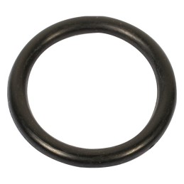 SACHET 10 JOINTS TORIQUES ("") 17,12X2,62