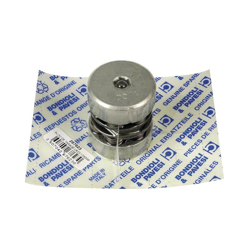 BLOC DE TARAGE LR23 1700NM (421155701R)